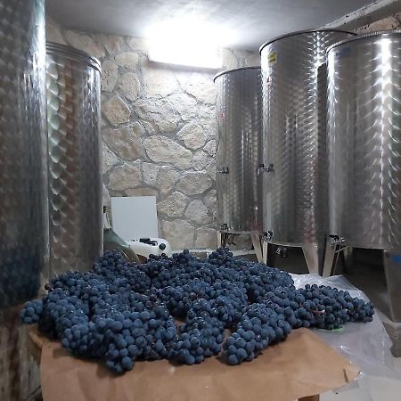 Apartman Genova Imotski Donji Vinjani Luaran gambar
